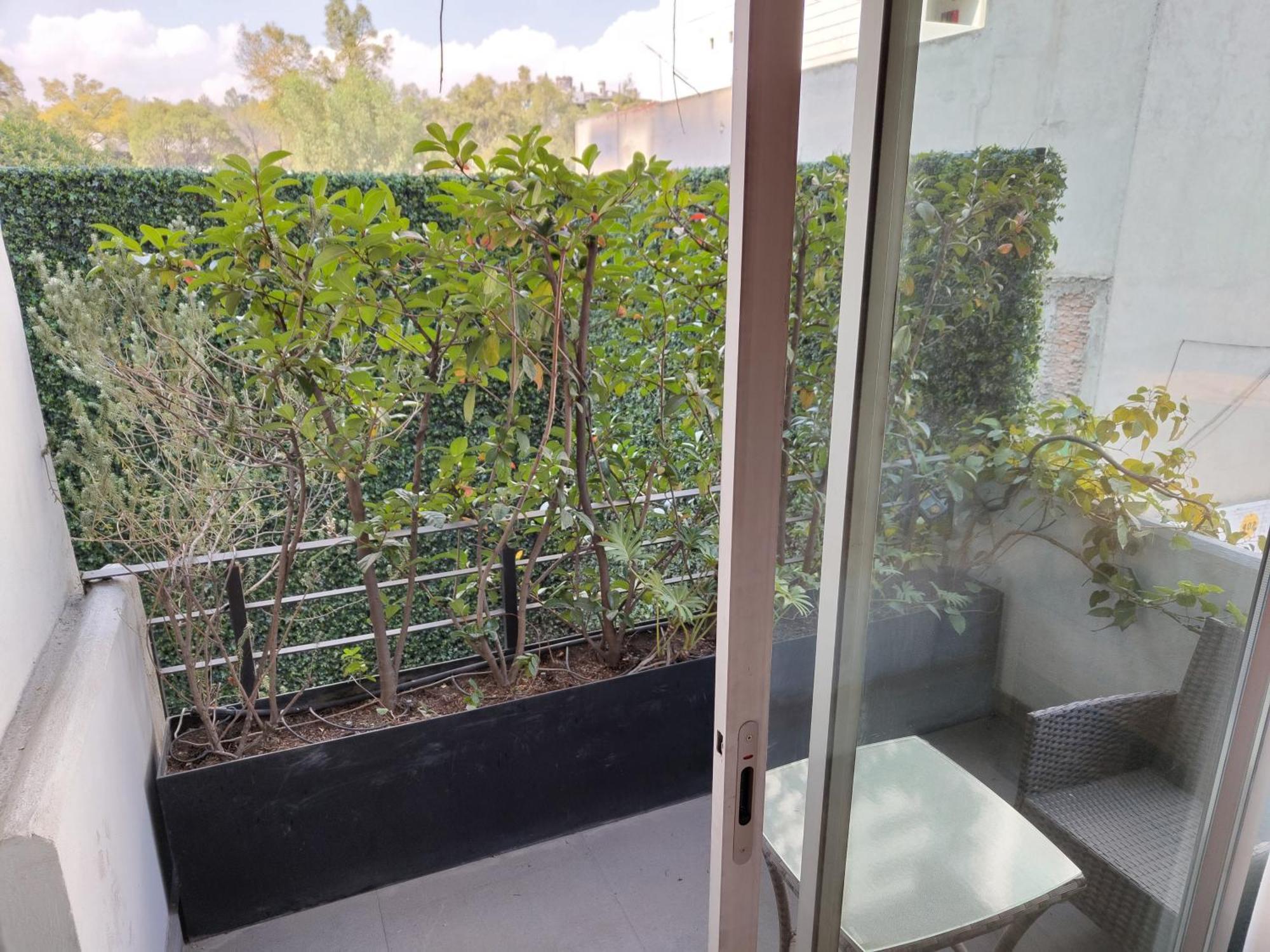Zamora By Mr W Mexico City Room photo