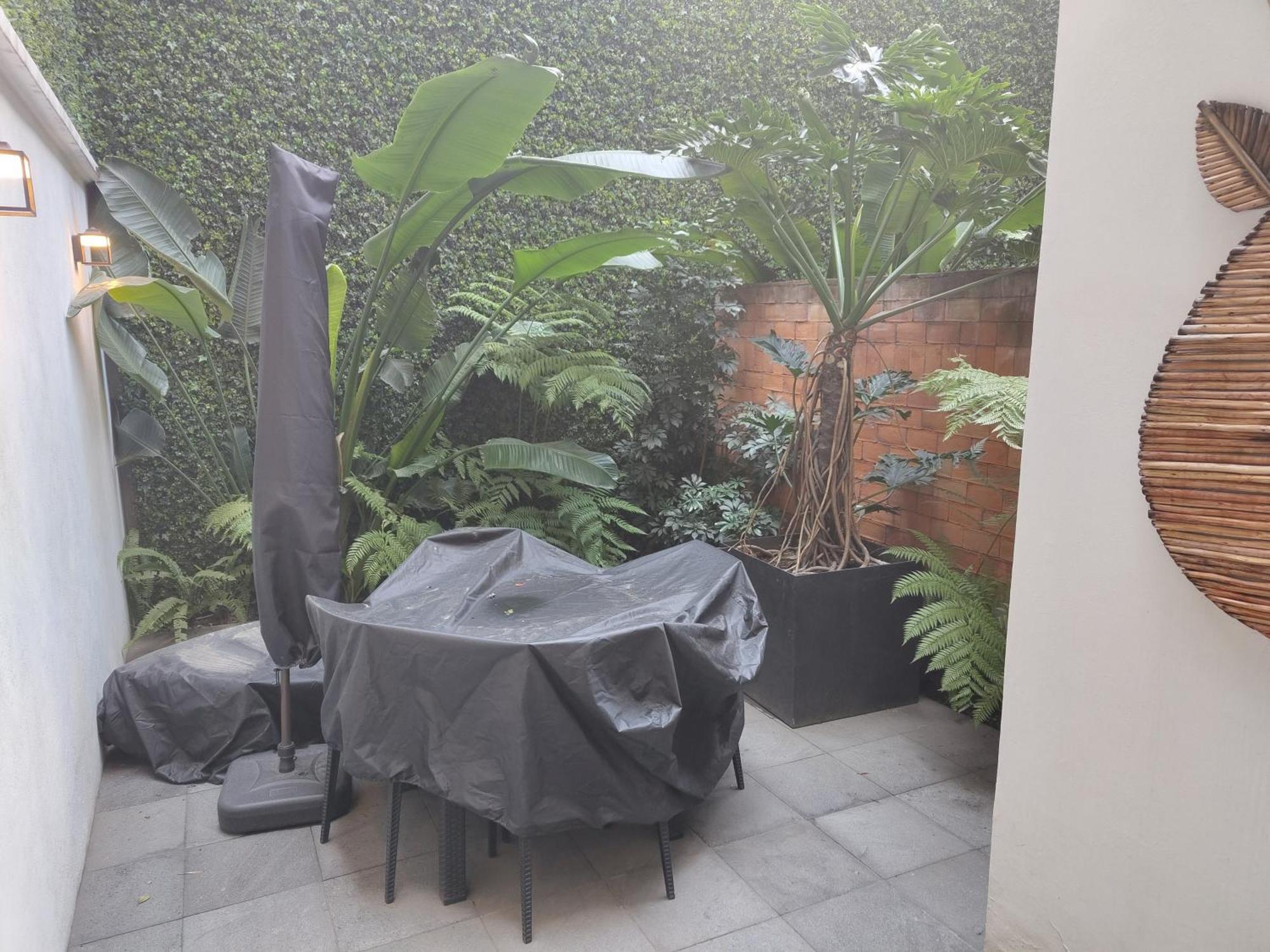 Zamora By Mr W Mexico City Room photo